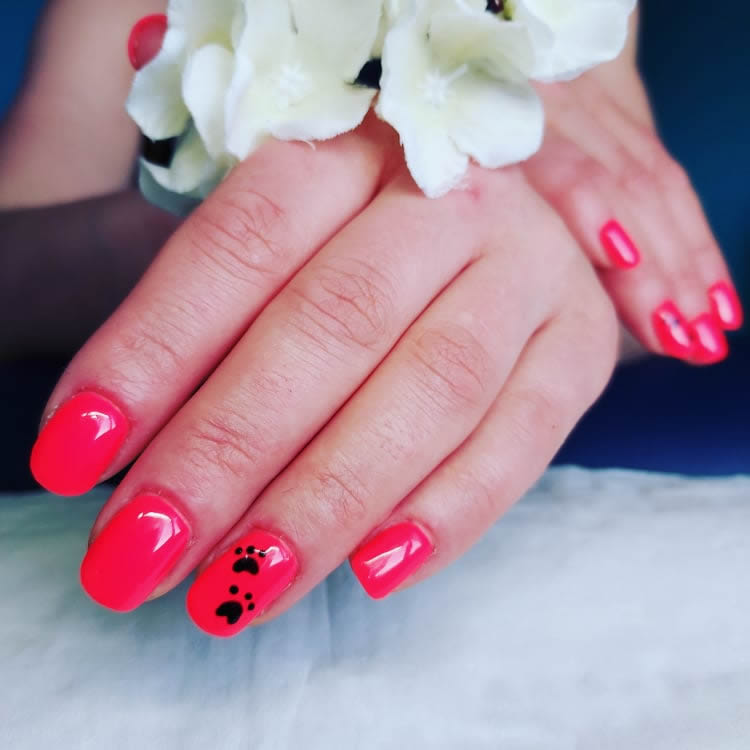 image showing customer red gel nails with black paw print on them